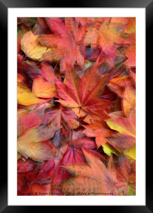Autumn Leaf Collage Framed Mounted Print by Simon Johnson