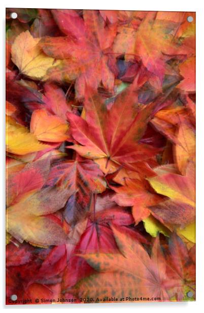 Autumn Leaf Collage Acrylic by Simon Johnson