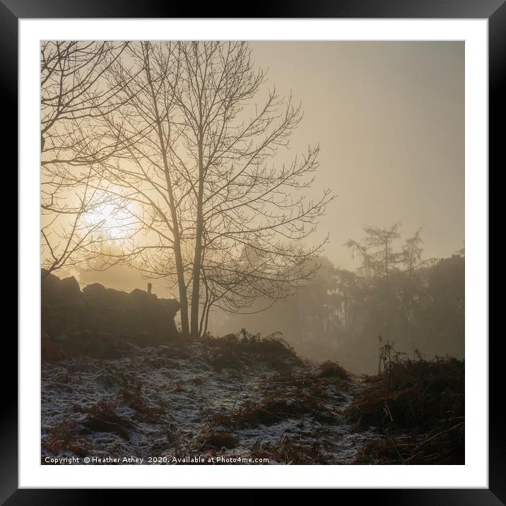 Winter Sunset Framed Mounted Print by Heather Athey