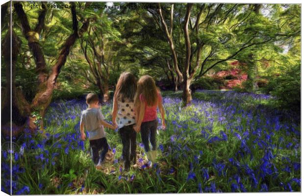 A Walk In Bluebell Woods Canvas Print by Robert Deering