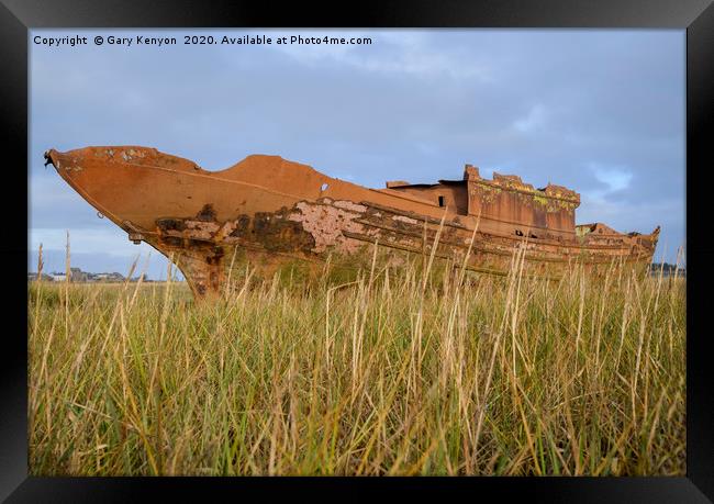 Old Rusty boat through the grasses at Fleetwood Framed Print by Gary Kenyon