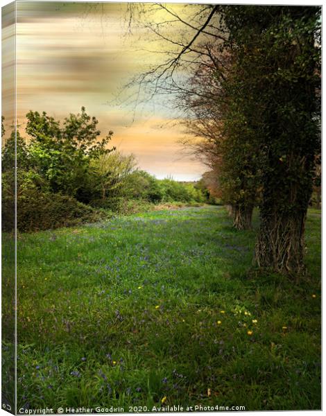 The English Hedgerow Canvas Print by Heather Goodwin