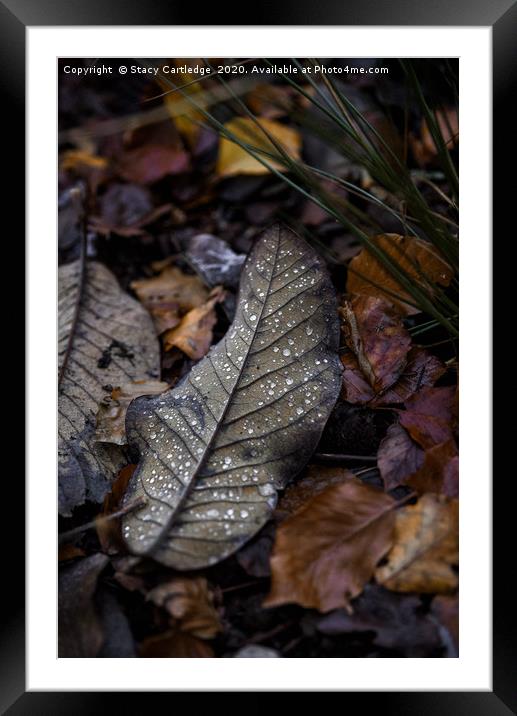 Autumn Leaves Framed Mounted Print by Stacy Cartledge