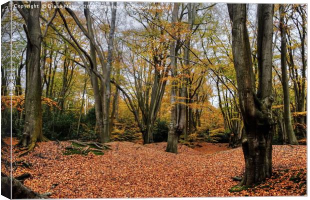Loughton Camp Epping Canvas Print by Diana Mower