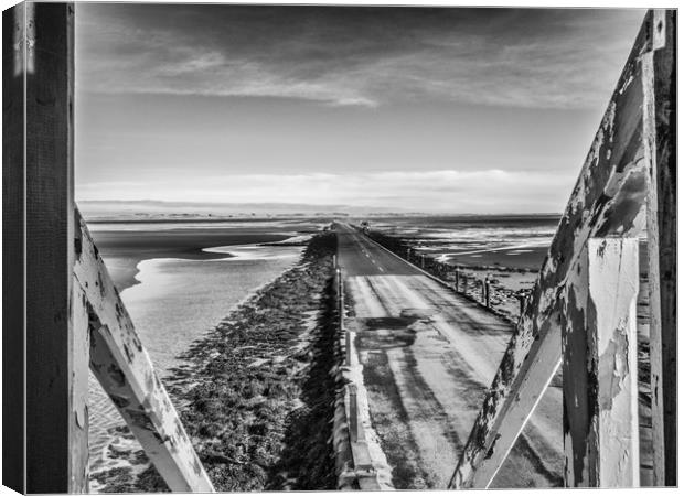 Looking out but always safe Canvas Print by Naylor's Photography