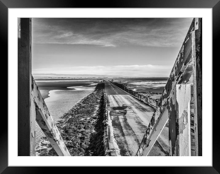 Looking out but always safe Framed Mounted Print by Naylor's Photography