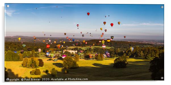 Balloon Safari Longleat Acrylic by Paul Brewer