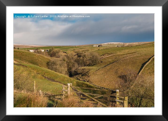 Bank Top and Scar End Farms, Ettersgill, Teesdale Framed Mounted Print by Richard Laidler