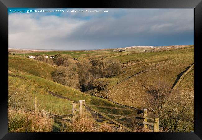 Bank Top and Scar End Farms, Ettersgill, Teesdale Framed Print by Richard Laidler