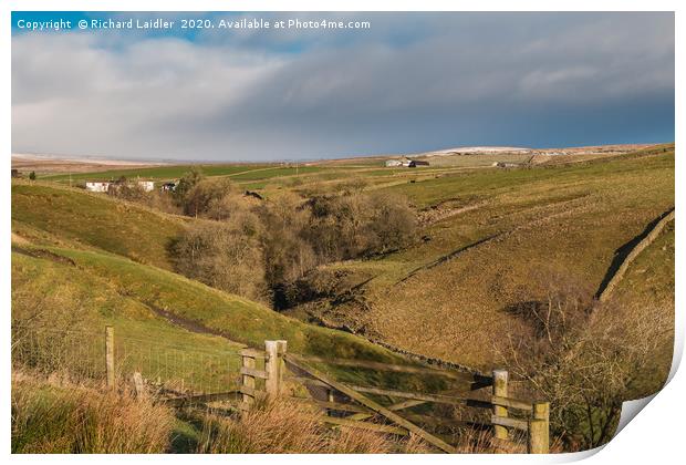 Bank Top and Scar End Farms, Ettersgill, Teesdale Print by Richard Laidler