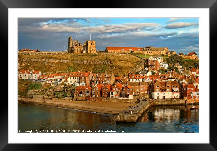 "Evening light on Whitby Abbey" Framed Mounted Print by ROS RIDLEY
