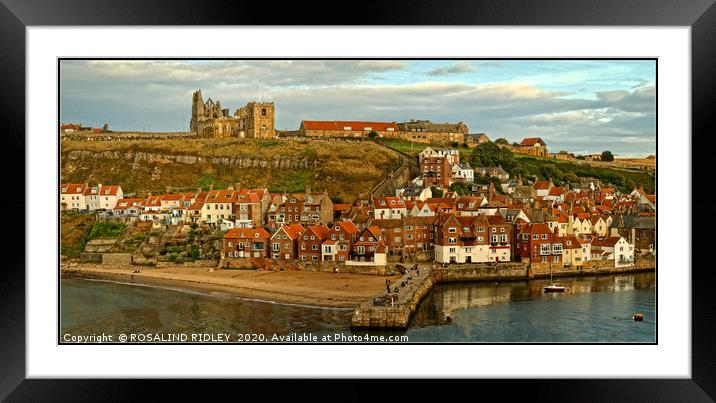 "Whitby Panorama" Framed Mounted Print by ROS RIDLEY