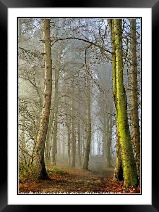 "Portrait of a foggy wood" Framed Mounted Print by ROS RIDLEY