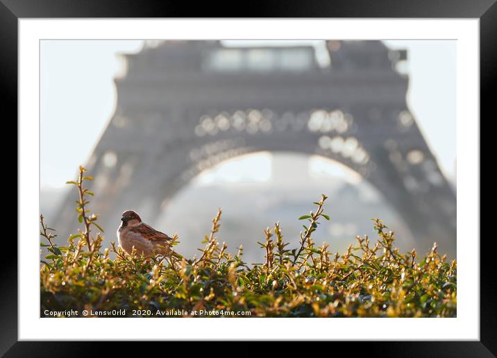 Paris Morning Vibes Framed Mounted Print by Lensw0rld 