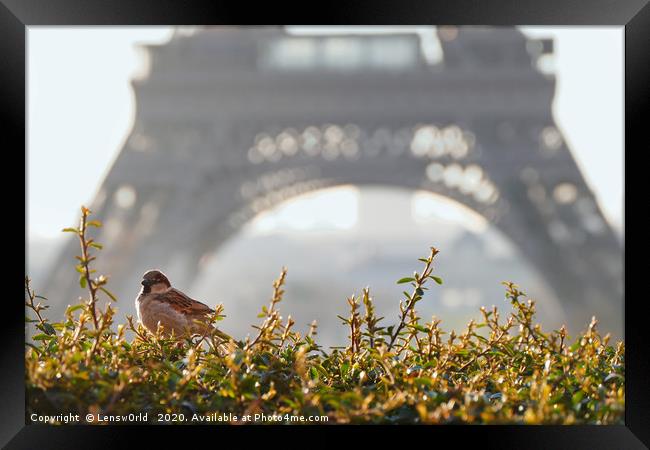 Paris Morning Vibes Framed Print by Lensw0rld 