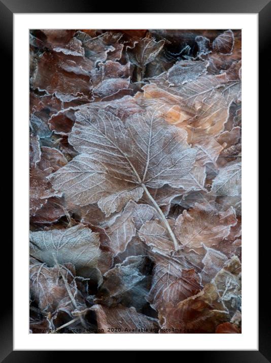 Frosted leaf Framed Mounted Print by Simon Johnson