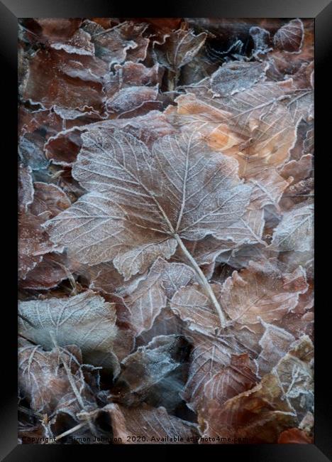 Frosted leaf Framed Print by Simon Johnson
