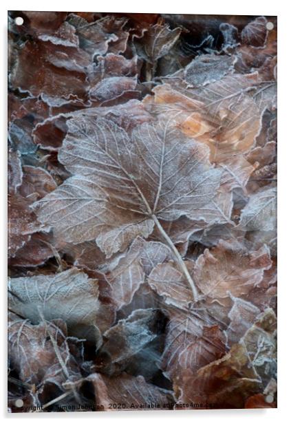 Frosted leaf Acrylic by Simon Johnson