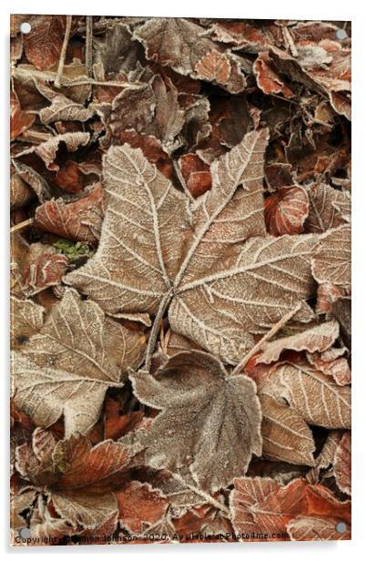 Frosted Leaf Acrylic by Simon Johnson