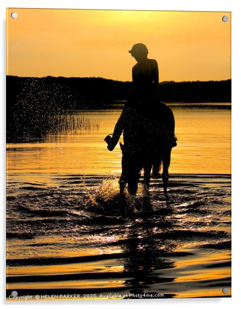 Horse and rider silhouettes at sunset Acrylic by HELEN PARKER