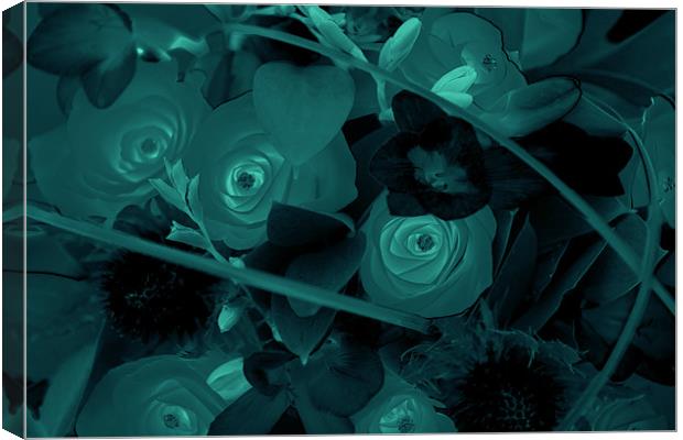 A bunch of roses Canvas Print by Terry Pearce