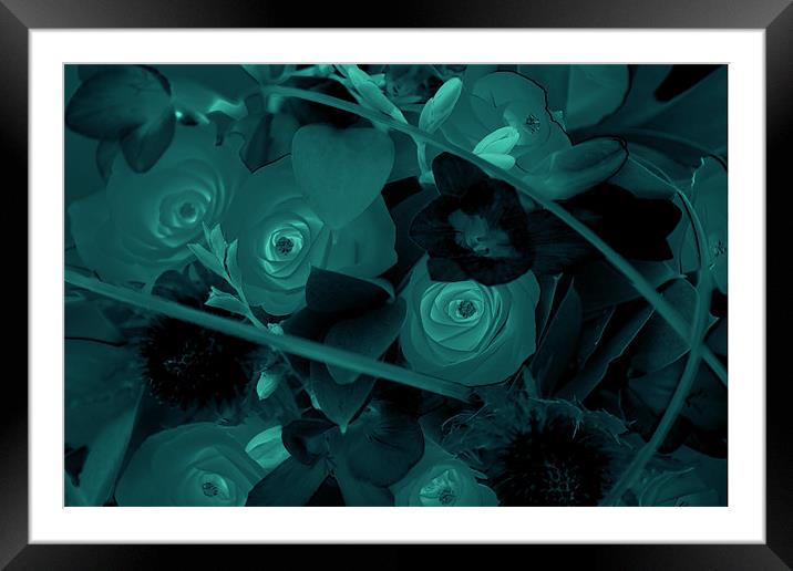 A bunch of roses Framed Mounted Print by Terry Pearce