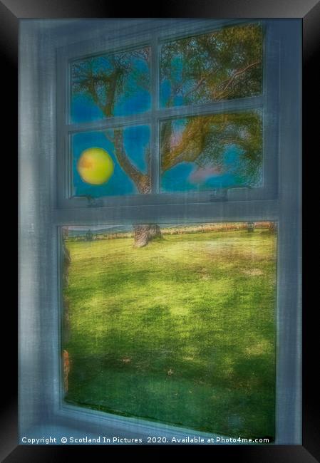 Cairngorms -Room With A View Framed Print by Tylie Duff Photo Art