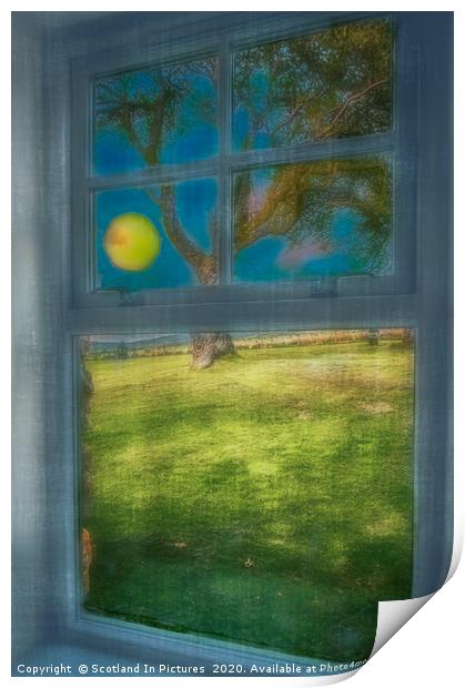 Cairngorms -Room With A View Print by Tylie Duff Photo Art