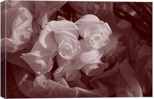A bunch of Roses Canvas Print by Terry Pearce