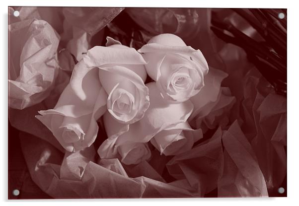 A bunch of Roses Acrylic by Terry Pearce