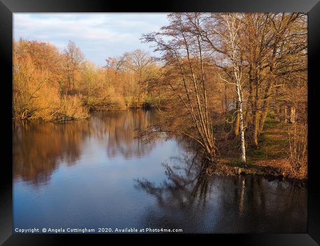 Voorveldse Polder City Park, Utrecht Framed Print by Angela Cottingham