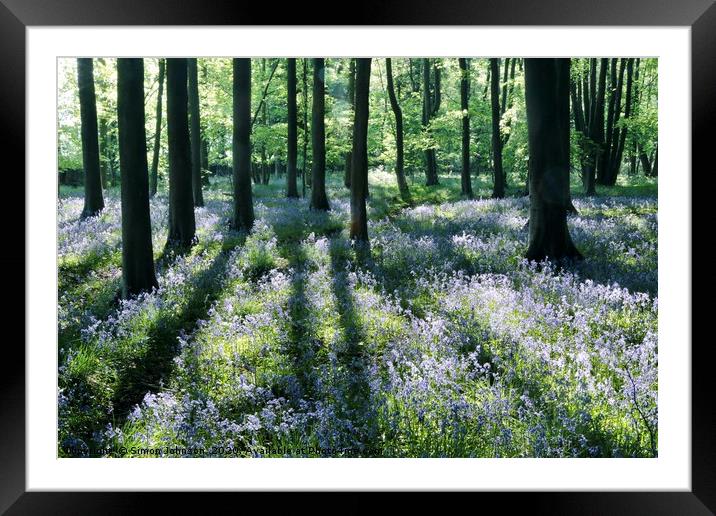 Bluebells and shadows Framed Mounted Print by Simon Johnson