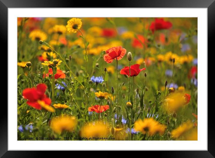 Poppy and Meadow flowers Framed Mounted Print by Simon Johnson