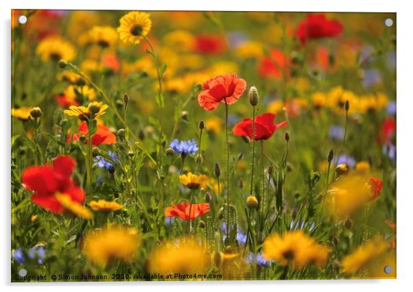Poppy and Meadow flowers Acrylic by Simon Johnson