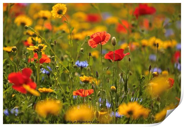 Poppy and Meadow flowers Print by Simon Johnson
