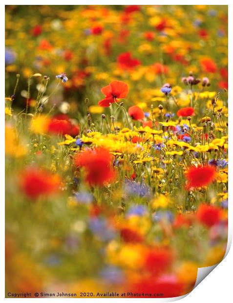 Poppies and wild flowers Print by Simon Johnson