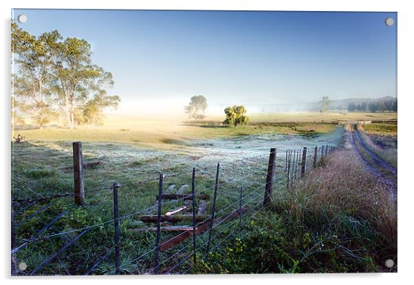 Misty morning Acrylic by Stephen Mole