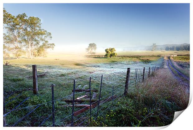 Misty morning Print by Stephen Mole