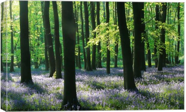 Bluebell woodland Canvas Print by Simon Johnson