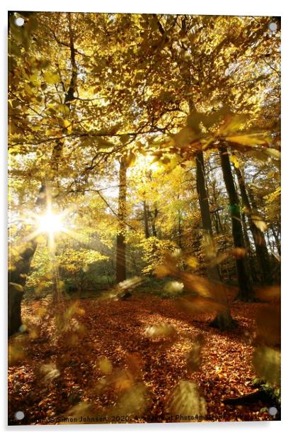 Autumn wood sunlight and wind blown leaves Acrylic by Simon Johnson