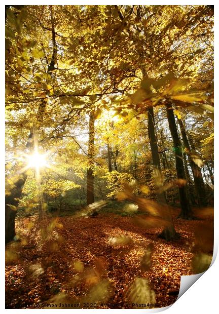 Autumn wood sunlight and wind blown leaves Print by Simon Johnson