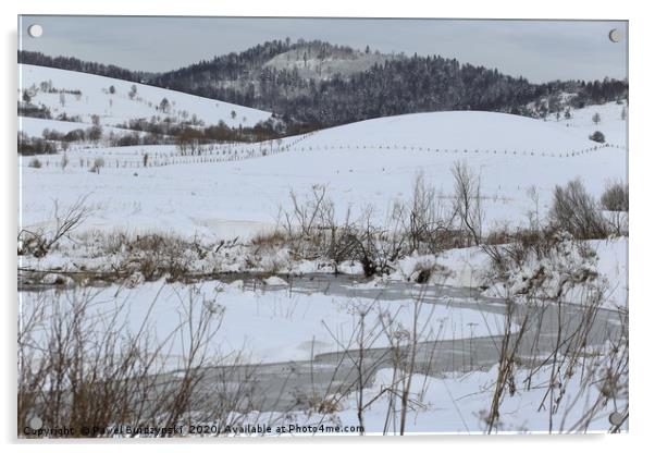Winter in the Carpathian Acrylic by Pawel Burdzynski
