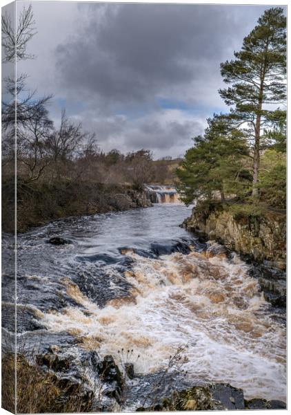 Low Force Waterfall on River Tees Canvas Print by Greg Marshall