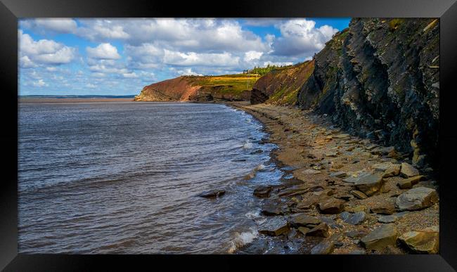 Fossil Beach, Joggins, Nova Scotia, Canada Framed Print by Mark Llewellyn