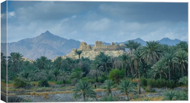 Old fort near Wadi Hoqain, Muscat, Oman Canvas Print by Greg Marshall