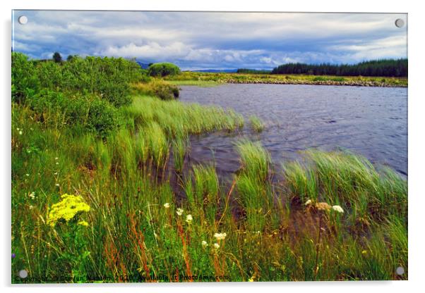 Loch Peallach Acrylic by Steven Watson
