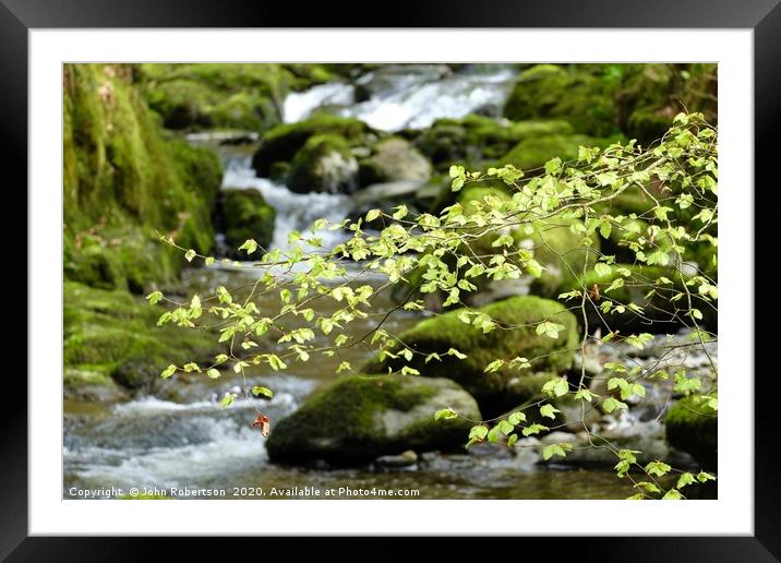 Spring at Stockghyll Ambleside Framed Mounted Print by John Robertson