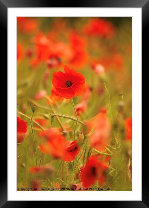 Dancing poppy Framed Mounted Print by Simon Johnson