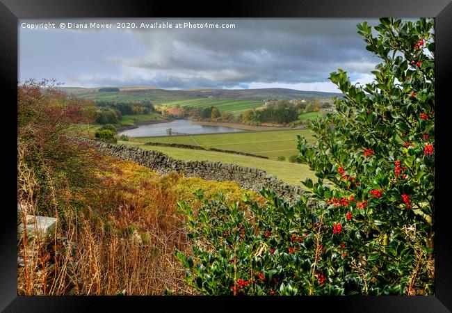 Lower Laithe Reservoir Yorkshire Framed Print by Diana Mower