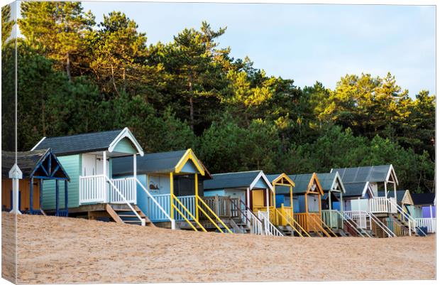colourful wells beach huts Canvas Print by Robbie Spencer